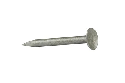 Clouts Plasterboard Plain shank Galvanised 25mm X 2.80mm 2.5kg Trademark