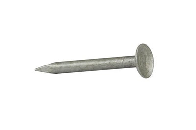 Clouts Plasterboard Plain shank Galvanised 25mm X 2.80mm 2.5kg Trademark