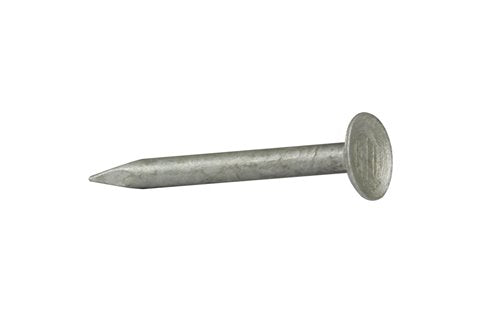 Clouts Plasterboard Plain shank Galvanised 25mm X 2.80mm 2.5kg Trademark